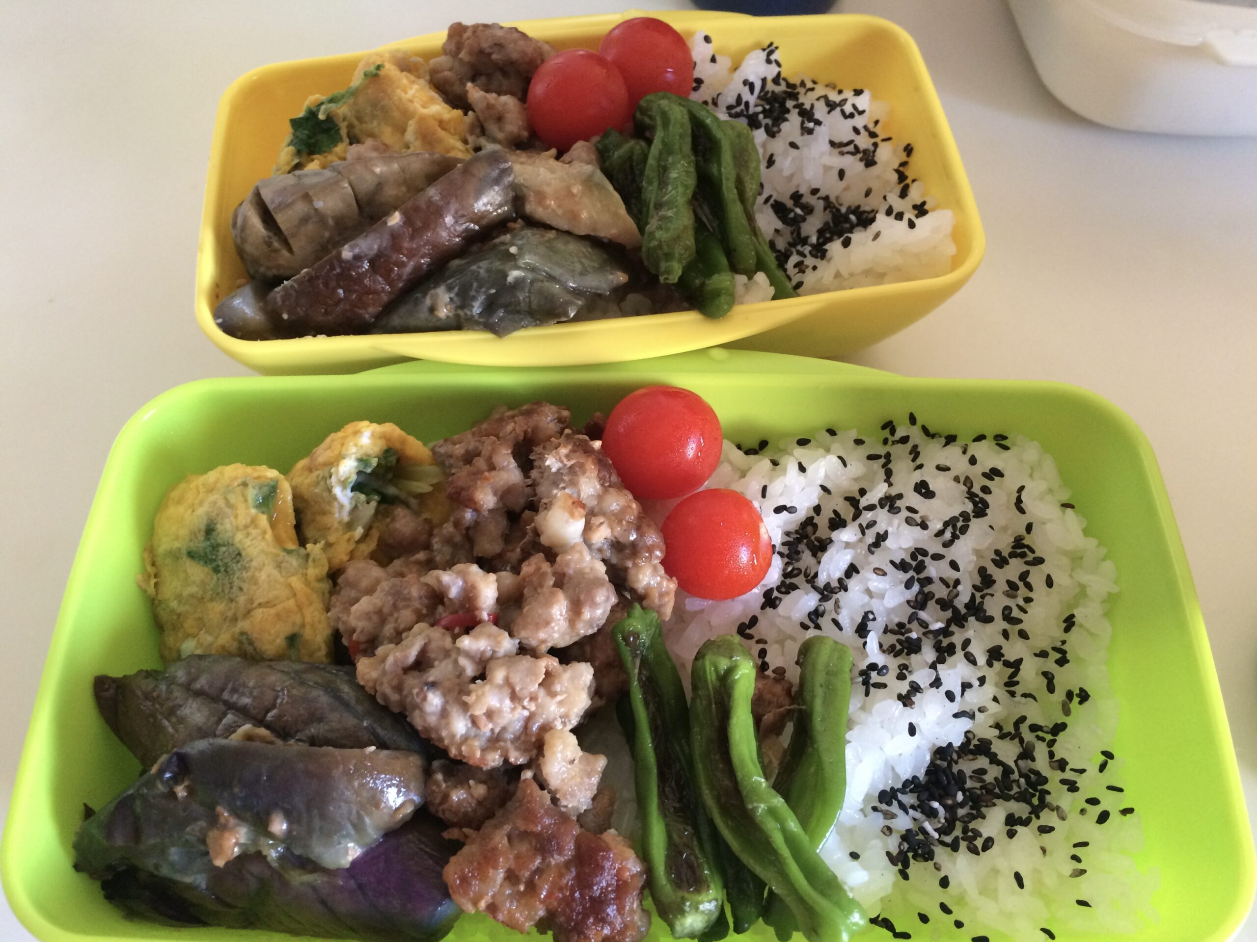 10年前のお弁当